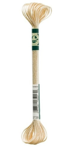 DMC Satin Floss / S738 Golden Fawn