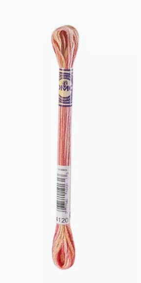 DMC Color Variations - Six Strand / 4120 Tropical Sunset