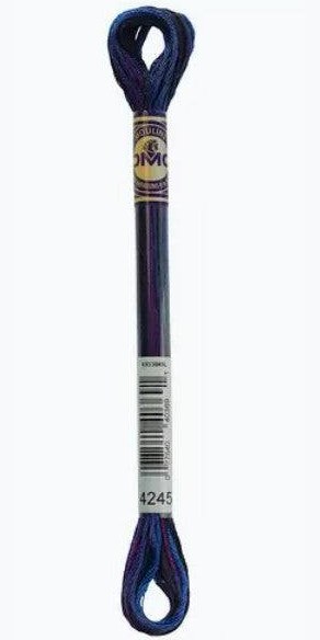 DMC Color Variations - Six Strand / 4245 Mystical Midnight