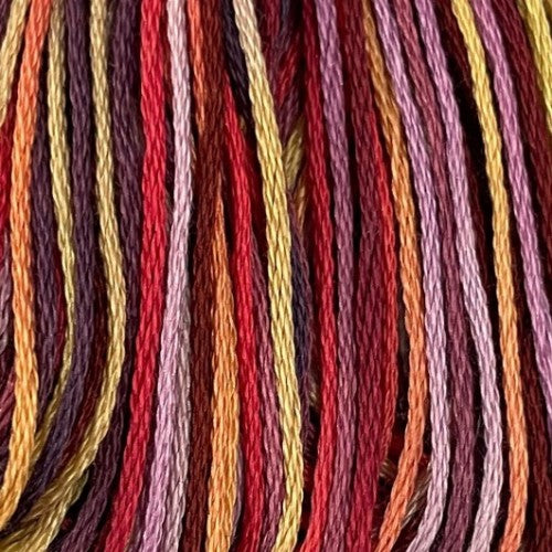 Valdani Variegated 6 Ply Skeins / S303 Happy Halloween