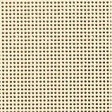 Mill Hill 14ct Painted Perforated Paper 9" x 12" - 2 sheets/pkg