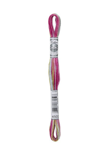 DMC Coloris 6-Strand Embroidery Cotton Floss / 4502 Camelia