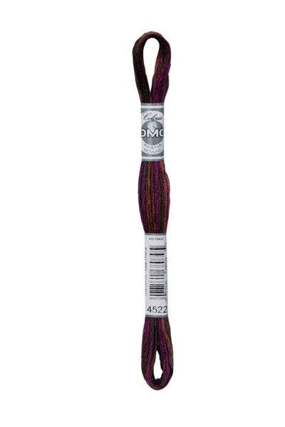 DMC Coloris 6-Strand Embroidery Cotton Floss / 4522 Canadian Night