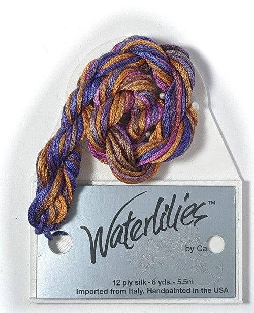 Caron Collection Hand Dyed Waterlilies / 231 Ethiopia