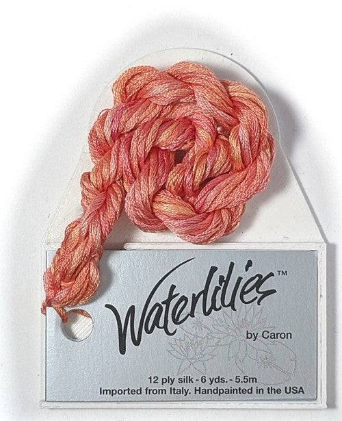 Caron Collection Hand Dyed Waterlilies / 208 Tangerine