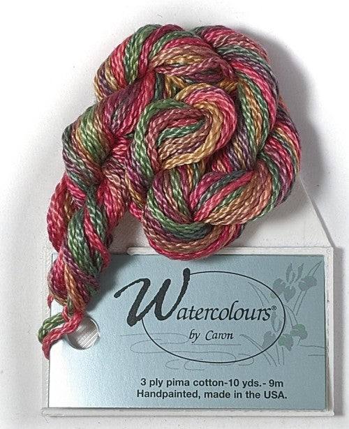 Caron Collection Hand Dyed Watercolours / 048 Far Horizons