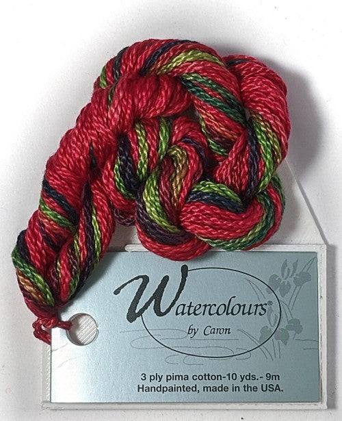 Caron Collection Hand Dyed Watercolours / 025 Holiday