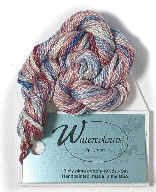 Caron Collection Hand Dyed Watercolours / 040 Williamsburg