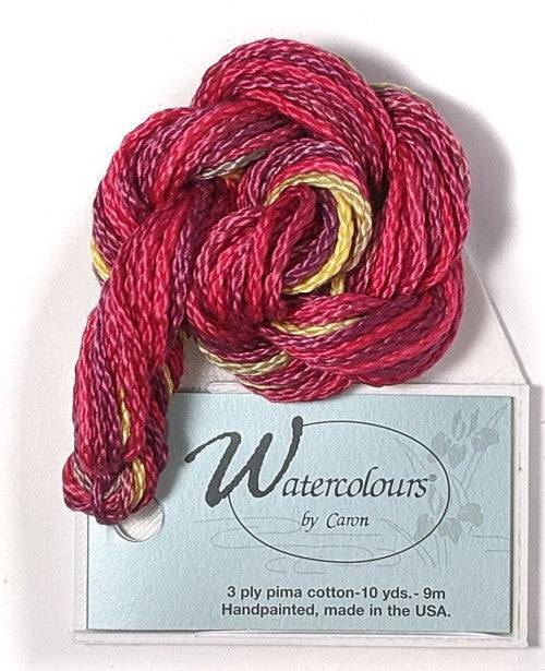 Caron Collection Hand Dyed Watercolours / 277 Hot Peppers