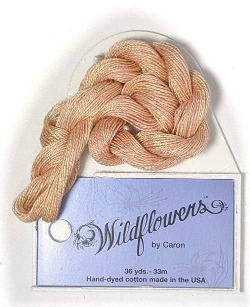 Caron Collection Hand Dyed Wildflowers / 059 Apricot Blush