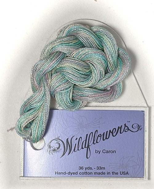 Caron Collection Hand Dyed Wildflowers / 042 Blossom