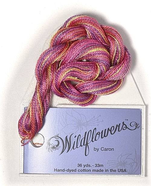 Caron Collection Hand Dyed Wildflowers / 021 Peach Melba