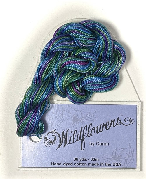 Caron Collection Hand Dyed Wildflowers / 236 Appalachia