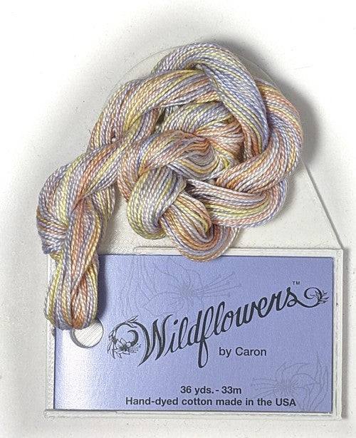 Caron Collection Hand Dyed Wildflowers / 213 Sahara