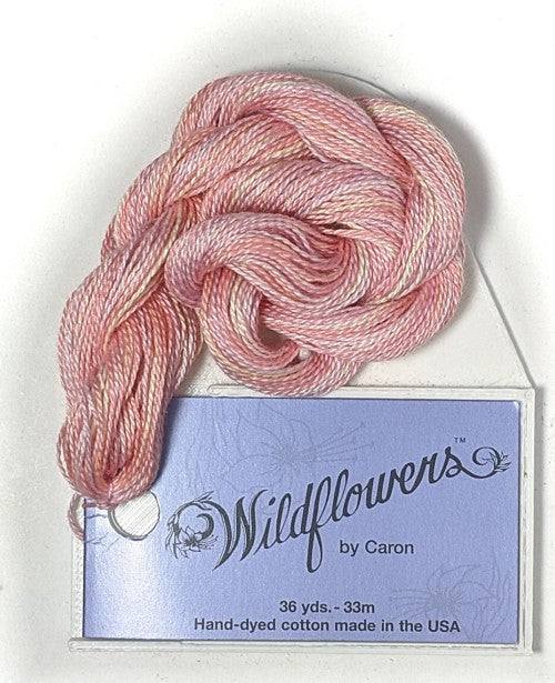 Caron Collection Hand Dyed Wildflowers / 237 Apple Blossom