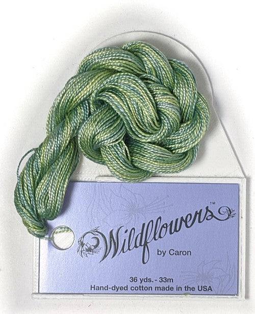 Caron Collection Hand Dyed Wildflowers / 067 Celadon