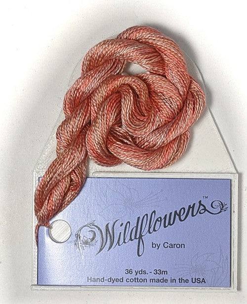 Caron Collection Hand Dyed Wildflowers / 183 Santa Fe