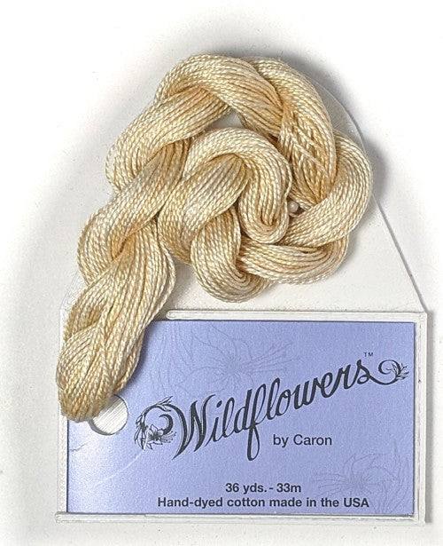 Caron Collection Hand Dyed Wildflowers / 172 Almond