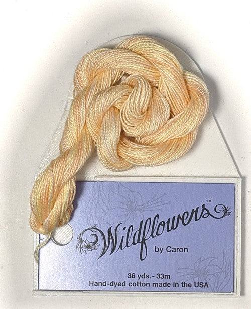 Caron Collection Hand Dyed Wildflowers / 166 Creamsicle