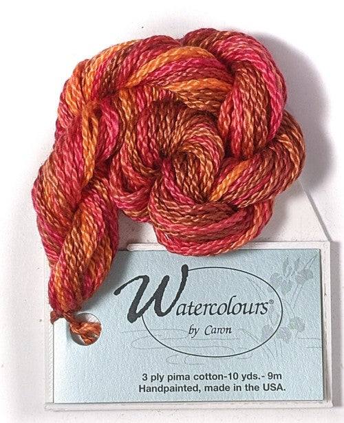 Caron Collection Hand Dyed Watercolours / 144 Pomegranate