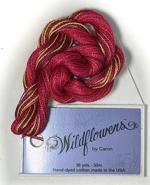 Caron Collection Hand Dyed Wildflowers / 277 Hot Peppers