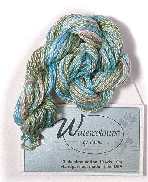 Caron Collection Hand Dyed Watercolours / 241 Shenandoah