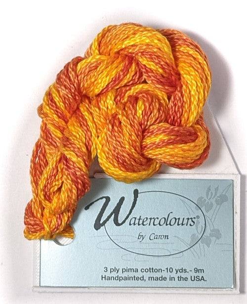 Caron Collection Hand Dyed Watercolours / 280 Calabasa