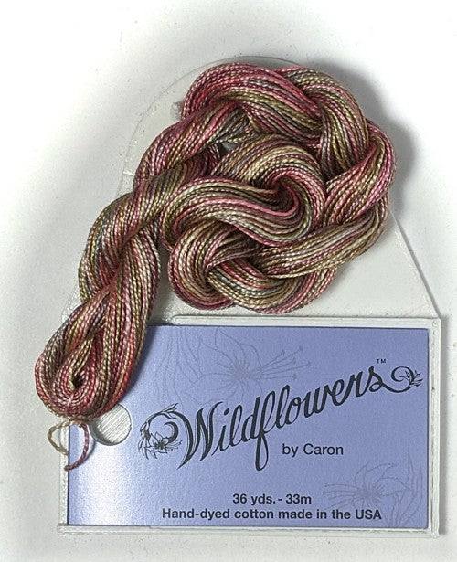 Caron Collection Hand Dyed Wildflowers / 020 Autumn Leaves