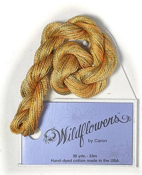 Caron Collection Hand Dyed Wildflowers / 251 SunflowerSeed