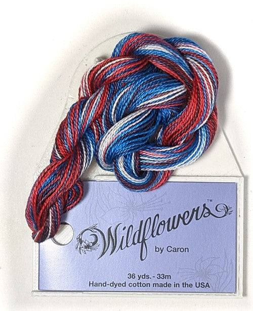 Caron Collection Hand Dyed Wildflowers / 154 Firecracker