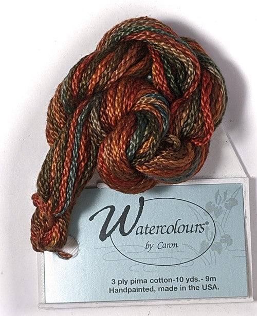 Caron Collection Hand Dyed Watercolours / 168 Rainforest