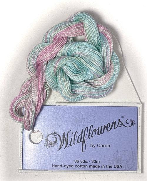 Caron Collection Hand Dyed Wildflowers / 002 Springtime