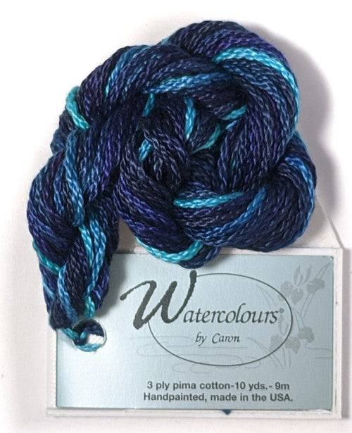 Caron Collection Hand Dyed Watercolours / 281 Hudson Bay