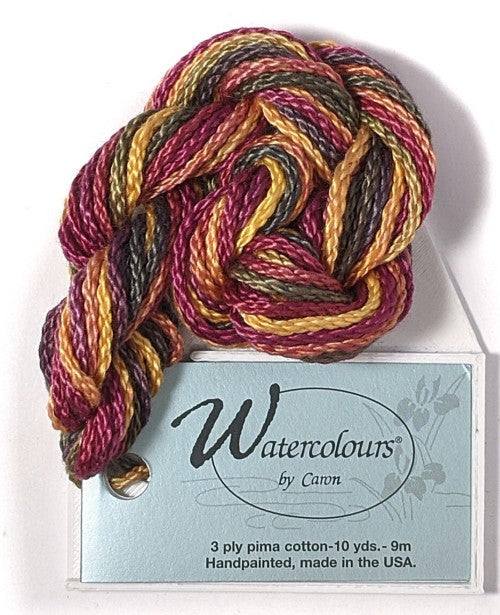 Caron Collection Hand Dyed Watercolours / 220 Cheyenne