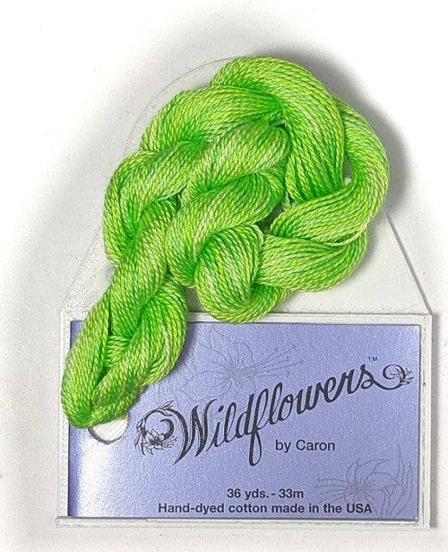 Caron Collection Hand Dyed Wildflowers / 188 Lime Rickey