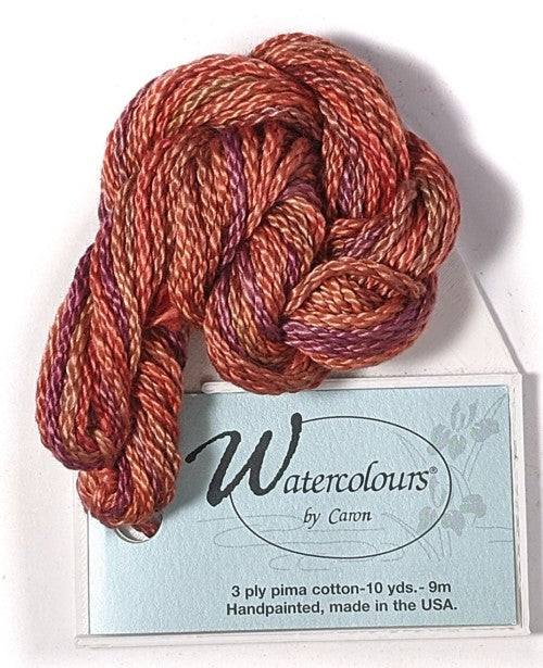 Caron Collection Hand Dyed Watercolours / 195 Paprika