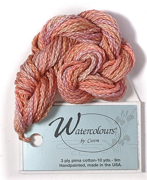 Caron Collection Hand Dyed Watercolours / 183 Santa Fe