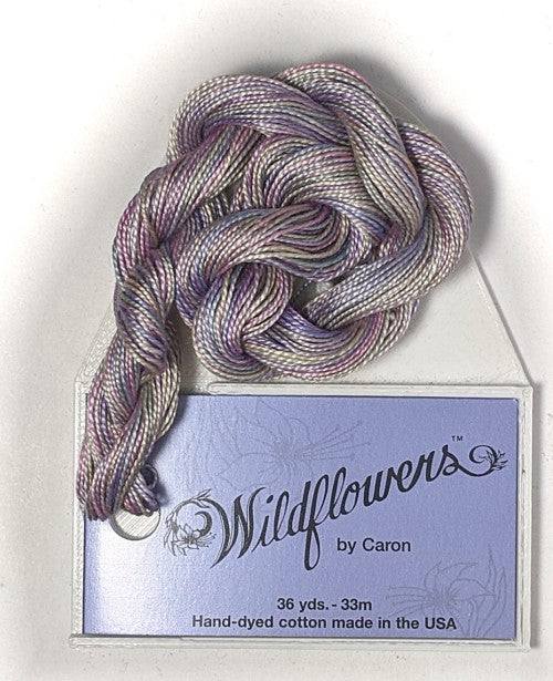 Caron Collection Hand Dyed Wildflowers / 023 Parfait