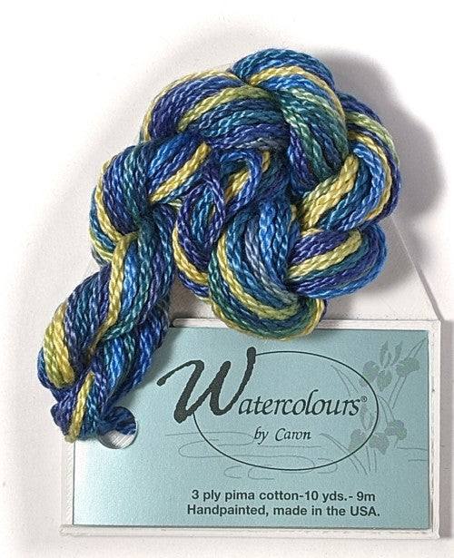 Caron Collection Hand Dyed Watercolours / 214 St Tropez