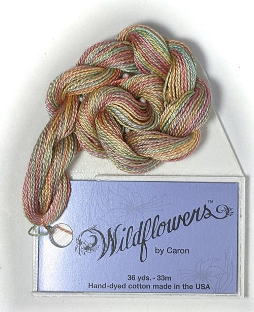 Caron Collection Hand Dyed Wildflowers / 079 Cantaloupe