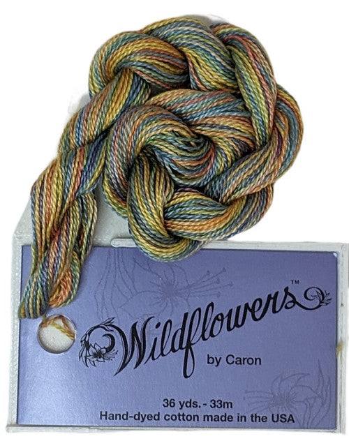 Caron Collection Hand Dyed Wildflowers / 076 Woodlands