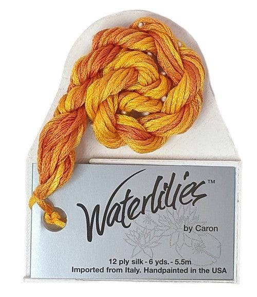 Caron Collection Hand Dyed Waterlilies / 280 Calabasa