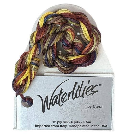 Caron Collection Hand Dyed Waterlilies / 298 Trail Mix