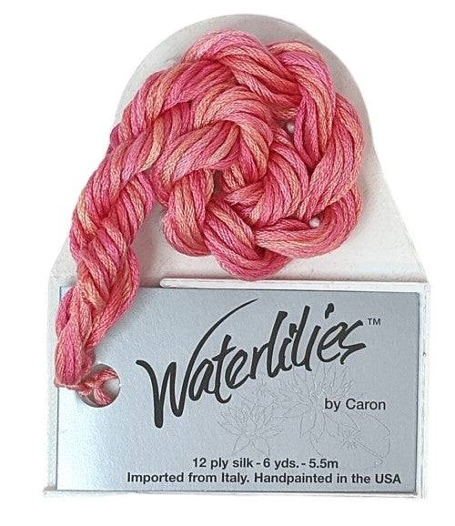 Caron Collection Hand Dyed Waterlilies / 308 Italian Ice