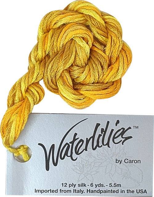 Caron Collection Hand Dyed Waterlilies / 322 Rapunzel