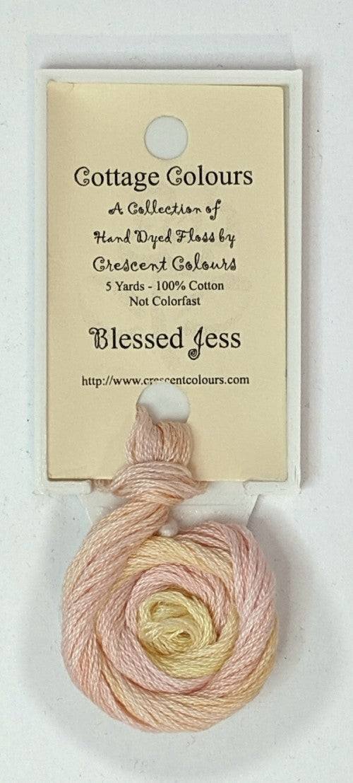 Classic Colorworks Cotton Floss / 133 Blessed Jess