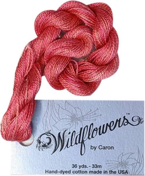 Caron Collection Hand Dyed Wildflowers / 308 Italian Ice