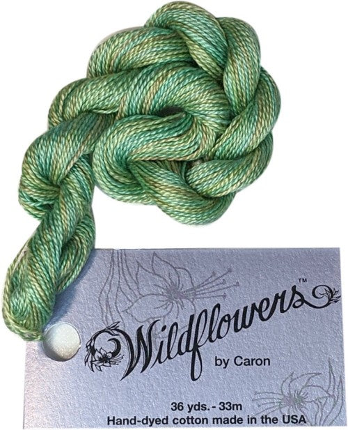 Caron Collection Hand Dyed Wildflowers / 309 Crème deMenthe