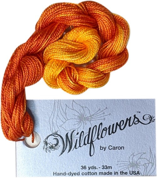 Caron Collection Hand Dyed Wildflowers / 280 Calabasa