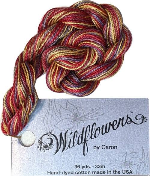 Caron Collection Hand Dyed Wildflowers / 282 Nile Sundown